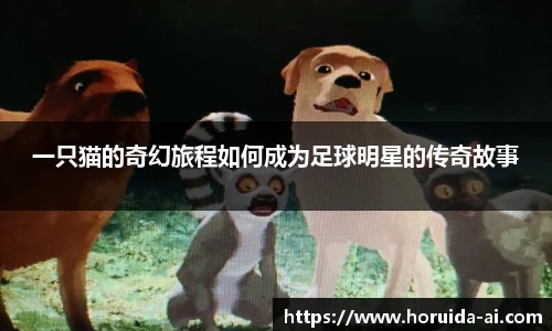 一只猫的奇幻旅程如何成为足球明星的传奇故事